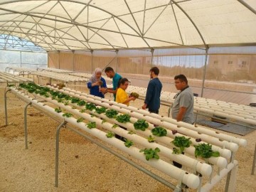 A new hydroponic greenhouse