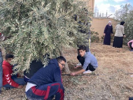 Agricultural laboratory