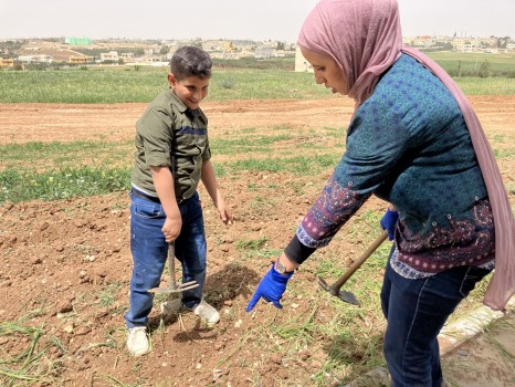 Agricultural laboratory