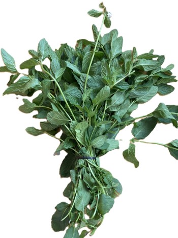 Agricultural Products