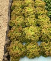 Agricultural laboratory