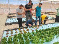 Agricultural Products