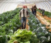 Agricultural laboratory